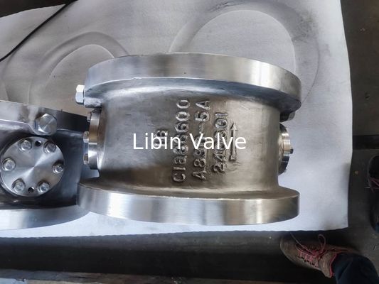 DUPLEX Stainless Steel Dual DCCHECK VALVE